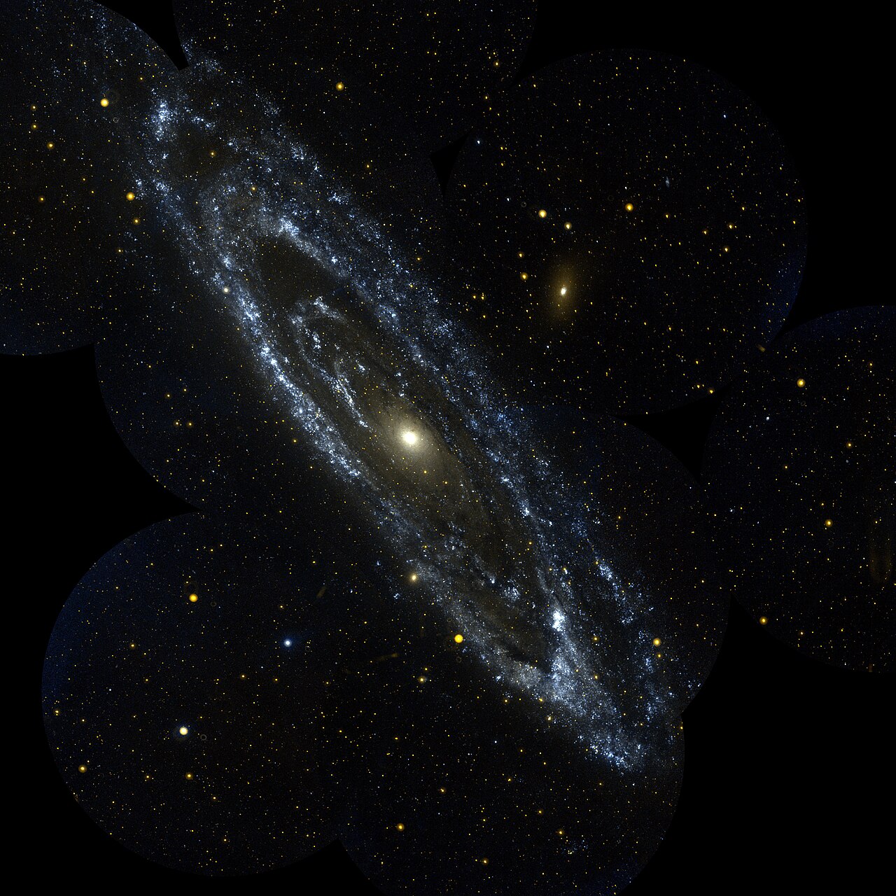 The Andromeda Galaxy (M31) in ultraviolet, imaged by NASA's GALEX observatory