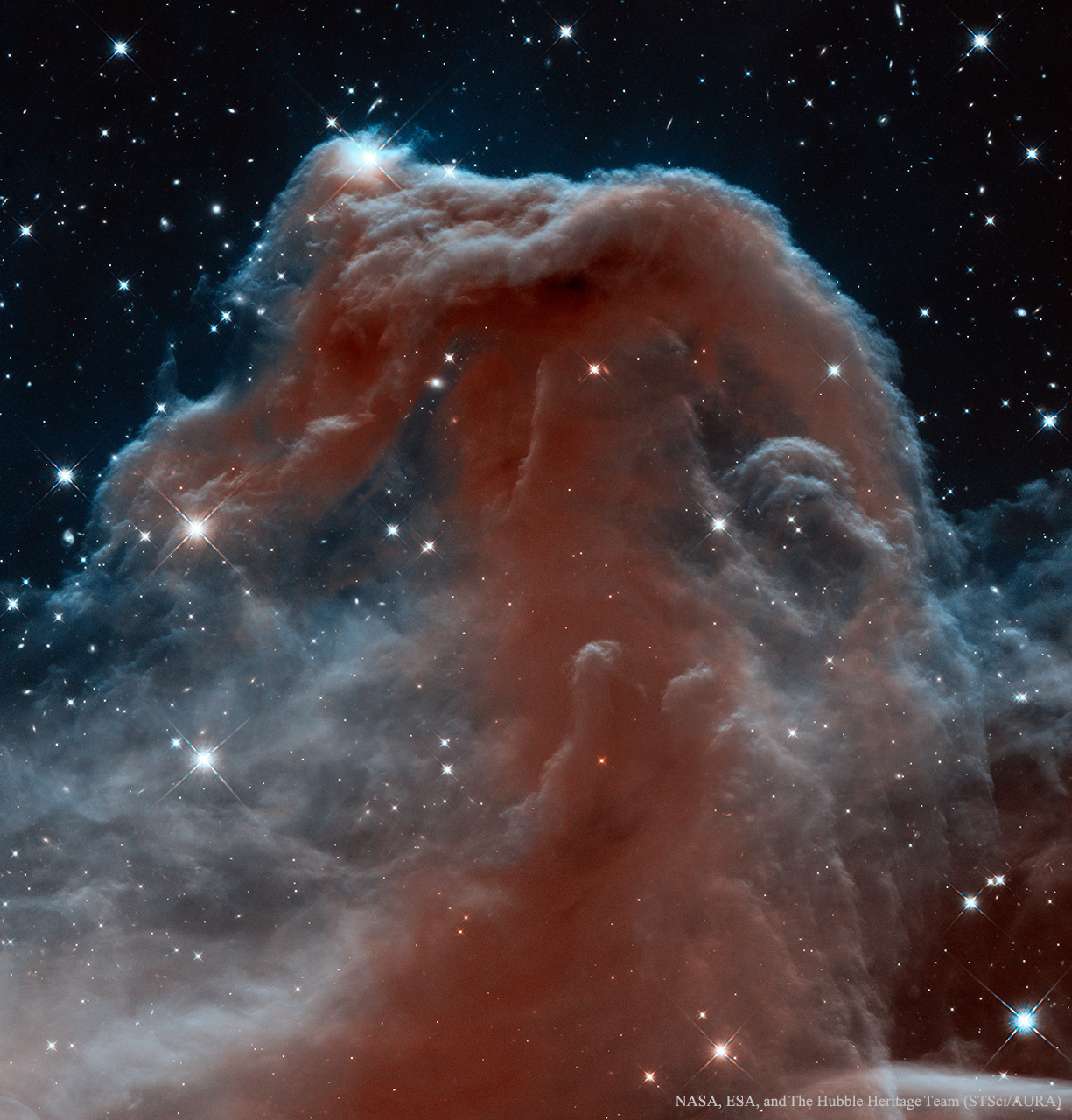 The Horsehead Nebula in infrared light from the Hubble Space Telescope, its dark silhouette rising against a glowing dust field