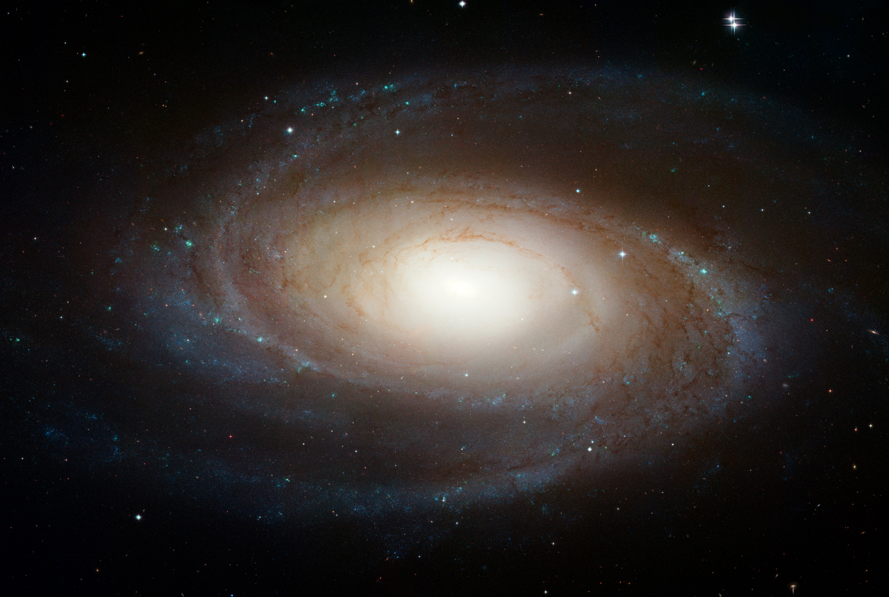 Hubble Space Telescope image of the grand-design spiral galaxy M81 (Bode's Galaxy), showing bright blue spiral arms winding into a yellow central bulge