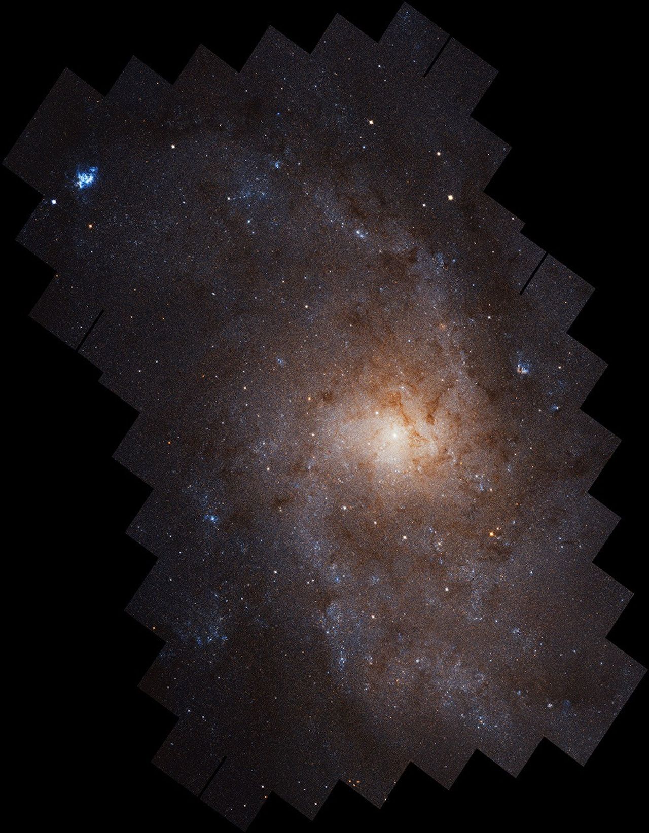 The Triangulum Galaxy (M33), a face-on spiral, imaged by the Hubble Space Telescope
